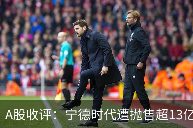 A股收评：宁德时代遭抛售超13亿元，猪肉股逆势大涨，“豆浆机大王”13天8板
